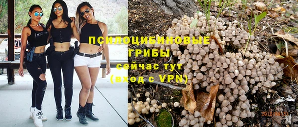 синтетический гашиш Пролетарск