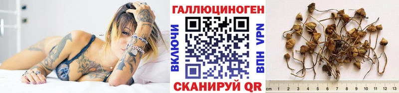 Псилоцибиновые грибы Psilocybe  kraken как зайти  Котовск  купить наркотики цена 