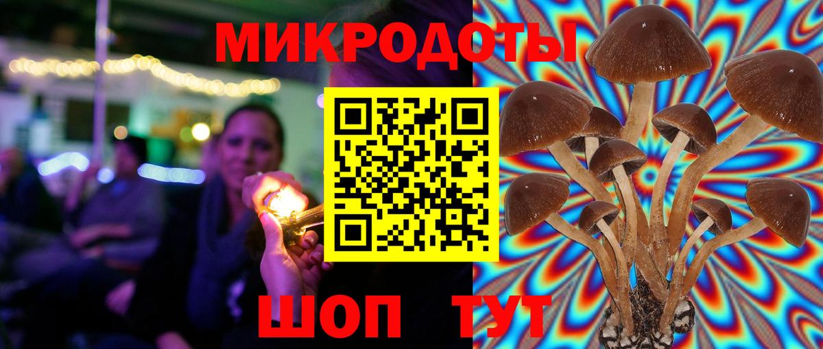 Галлюциногенные грибы прущие грибы Котовск