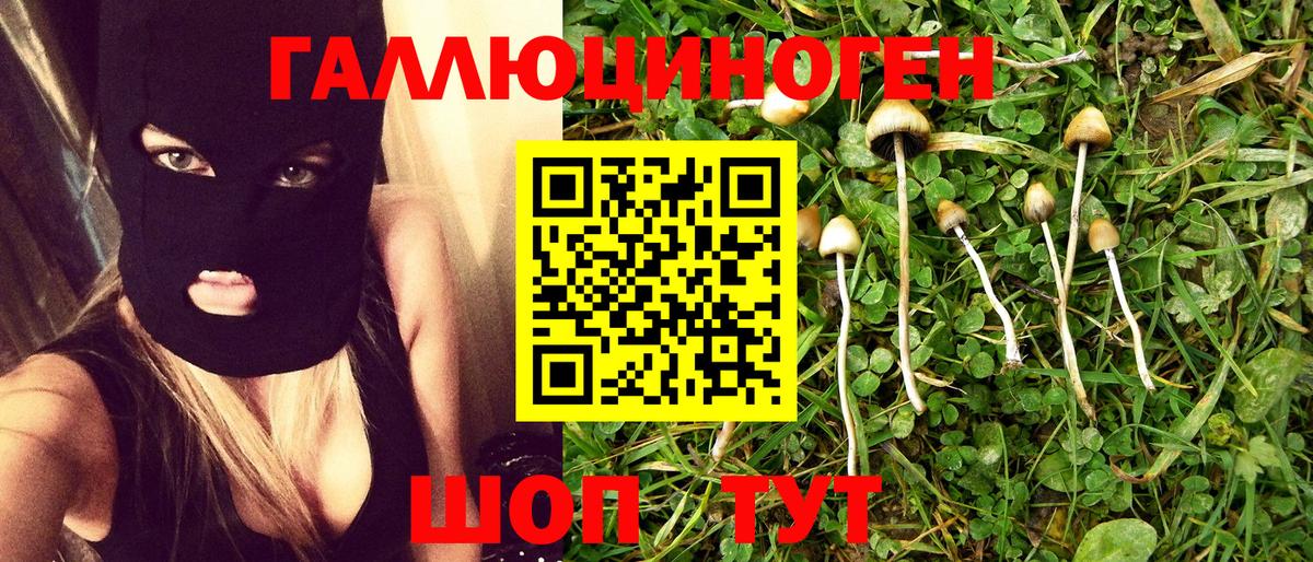 Котовск  магазин    Вход с VPN  Галлюциногенные грибы Psilocybe 