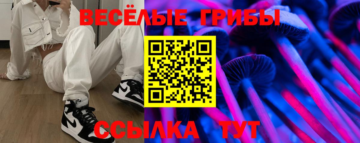 цена   Котовск  Псилоцибиновые грибы ЛСД  Галлюциногенные грибы MAGIC MUSHROOMS 